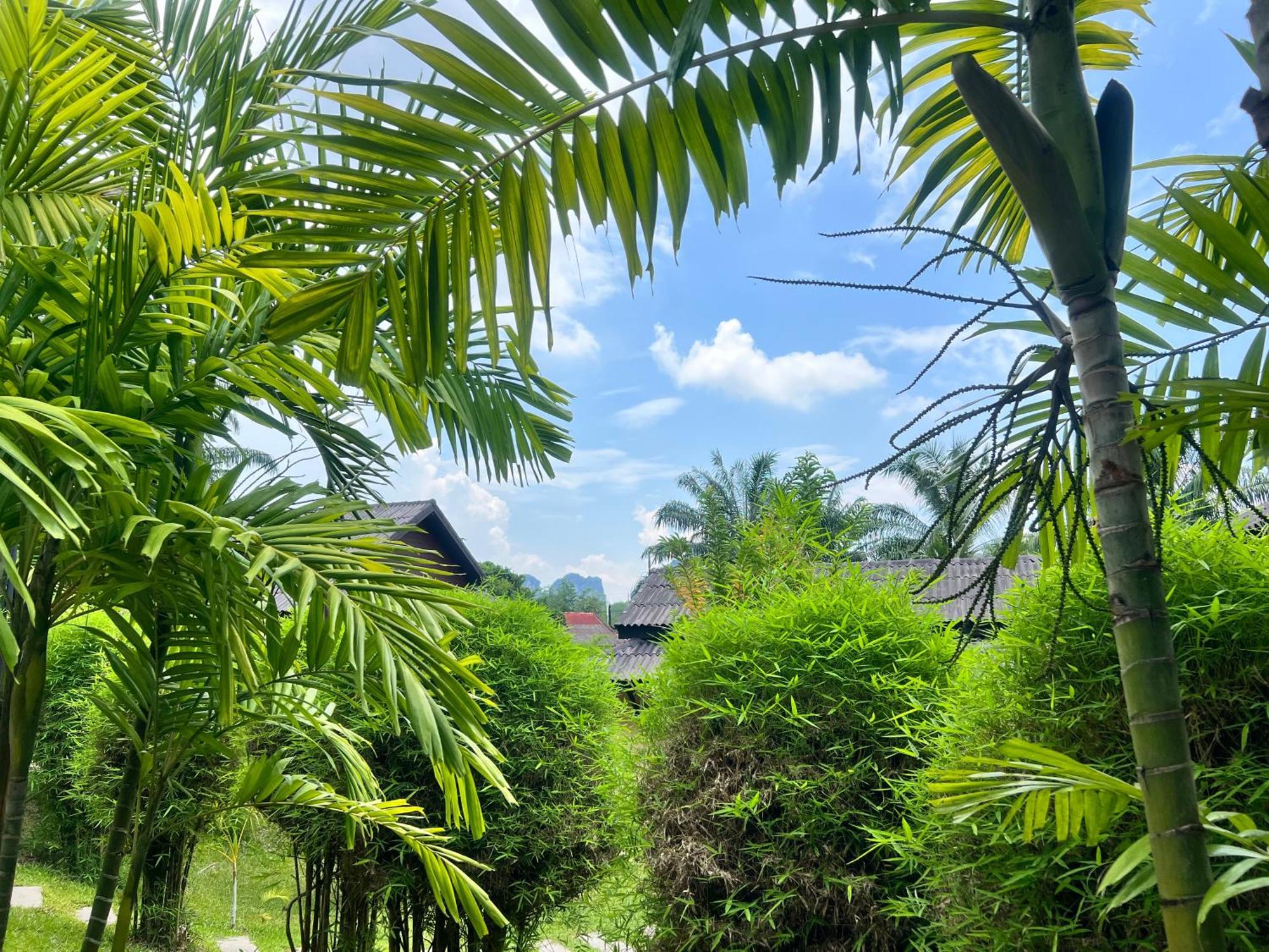 Palm Kiri Aonang Resort Ao Nang Exteriér fotografie
